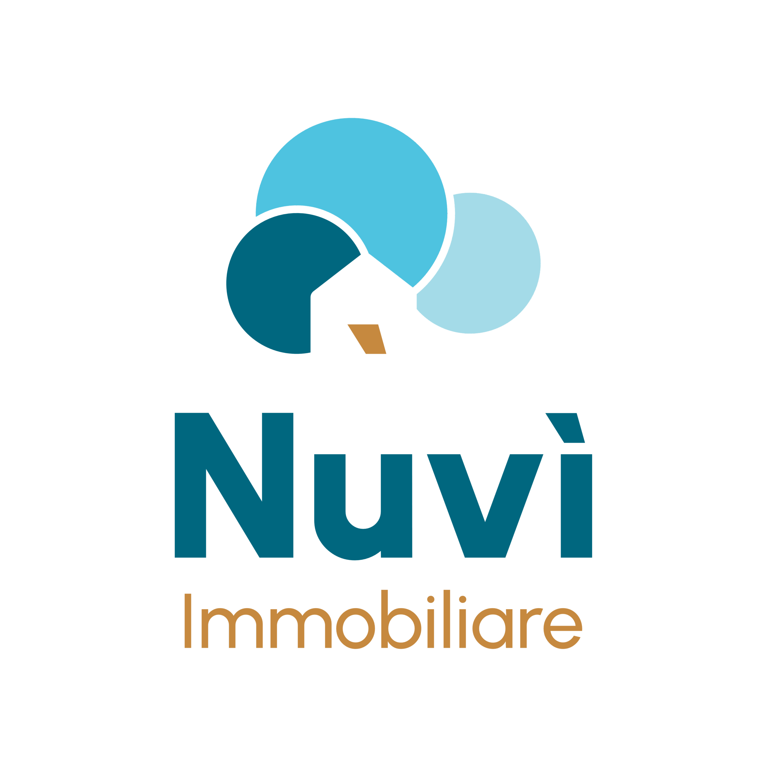 Logo Nuvi immobiliare - Verticale